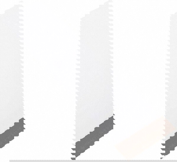 Courier Mailing Envelope: 8-1/2